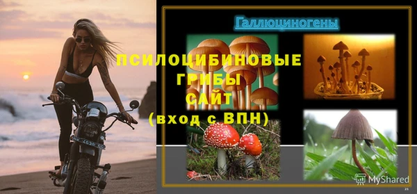COCAINE Вяземский