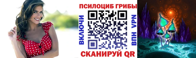 Псилоцибиновые грибы Cubensis  Купить закладки  Кропоткин 